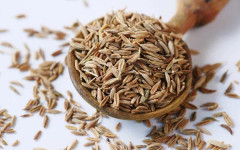 gastro-kim-tvornica-zdrave-hrane-modnialmanah