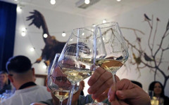 Wine-not-slavonija-i-podravina-vino-modnialmanah-orahovica-wine-run-eno-gastro-noskovci