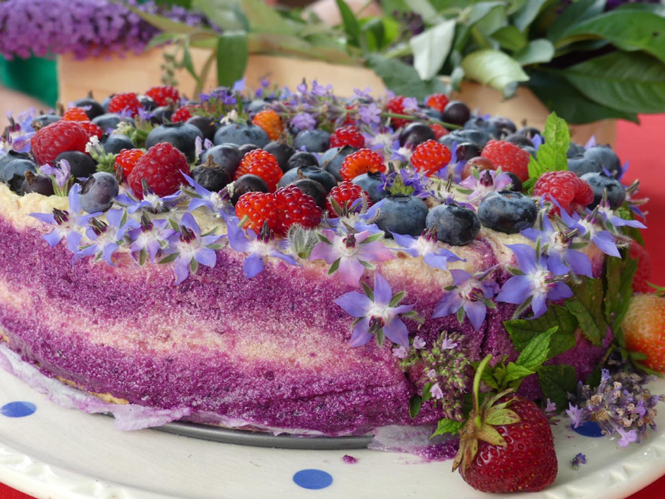 jestivo-cvijeće-mikrobilje-gastronomija-ekotlon-ric-grc-portal-modnialmanah