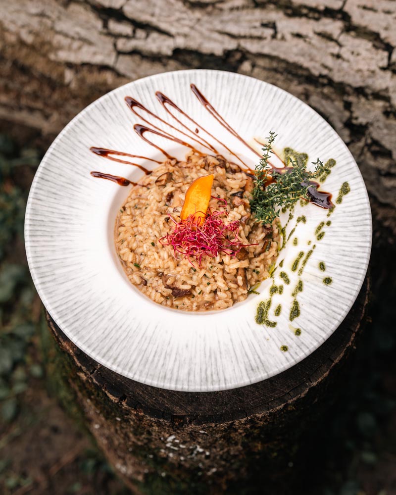 gastro-botanist-vrganji-modnialmanah