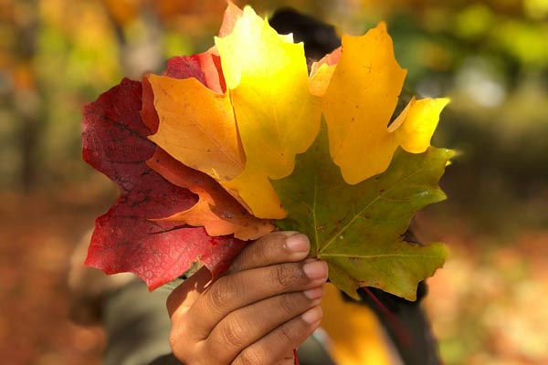 lifestyle-lišće-modnialmanah