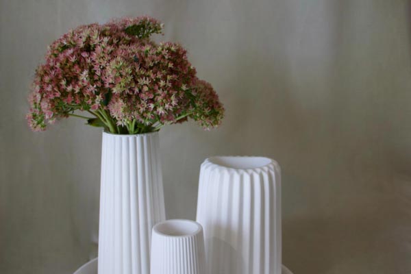 mlaf-studio-cvijeće-koje-ne-vene-modnialmanah-lifestyle