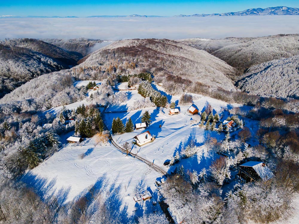 kladeščica-TZZŽ-lifestyle-modnialmanah