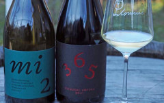 vinarija-plovanić-nova-vina-wine-enogastro-kastav-modnialmanah