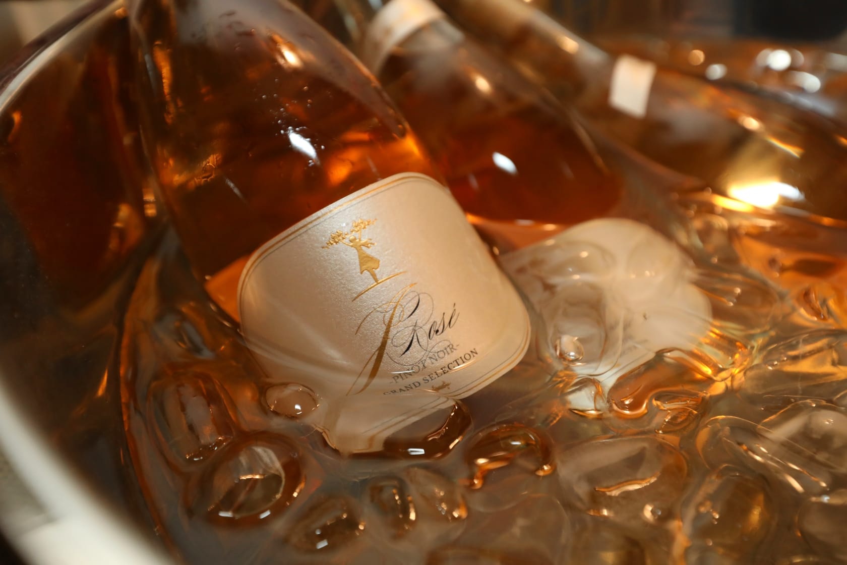 vinarija-antunović-20-godina-modnialmanah-eno-gastro
