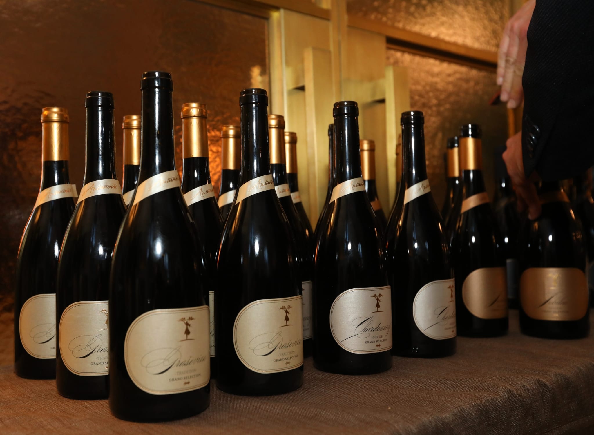 vinarija-antunović-20-godina-modnialmanah-eno-gastro