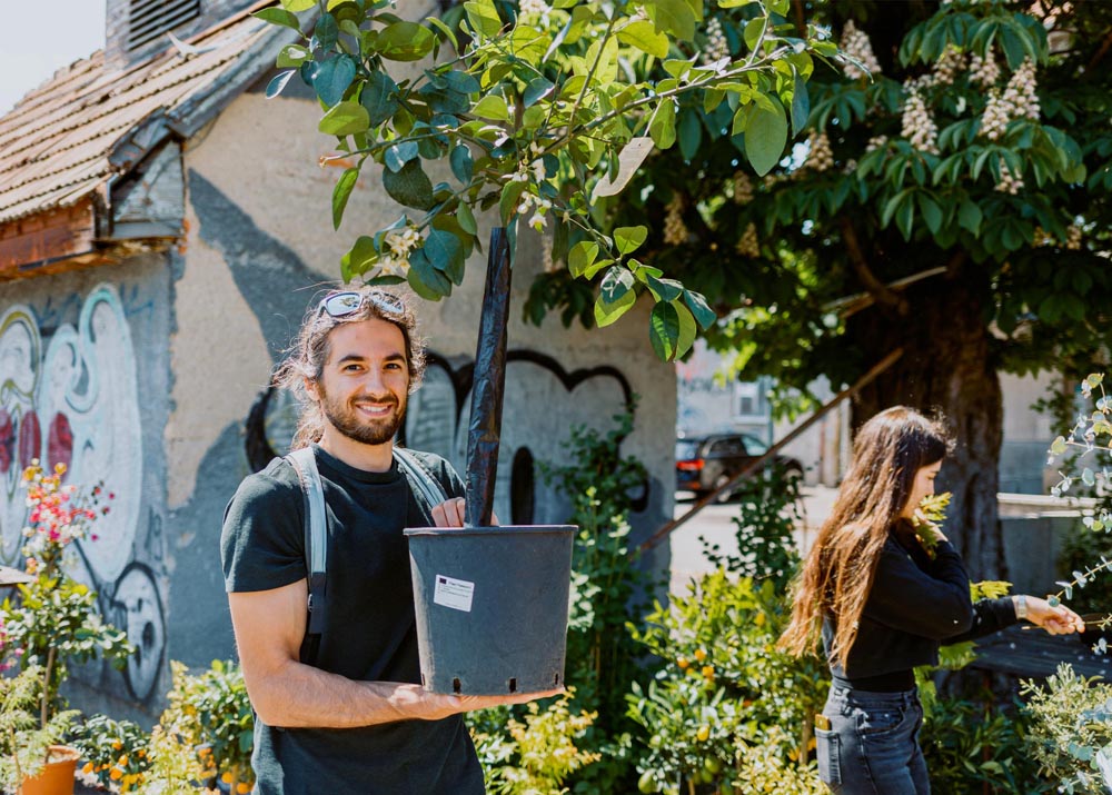 Plant-market-na-branimircu-lifestyle-modnialmanah