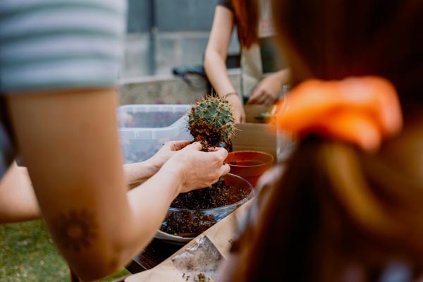 Plant-market-na-branimircu-lifestyle-modnialmanah