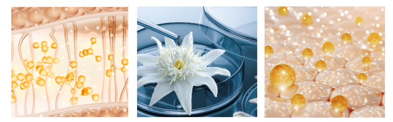 FAQ-Hydrogel-Face-Mask-beauty-modnialmanah