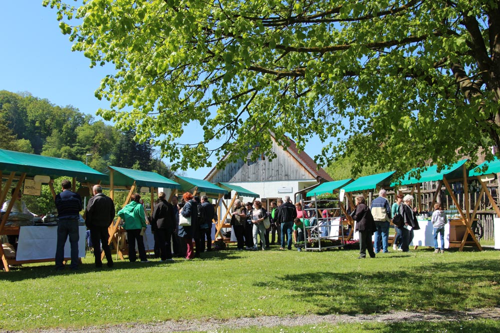 8-Zeleni-festival-Rogatec-lifestyle-modnialmanah