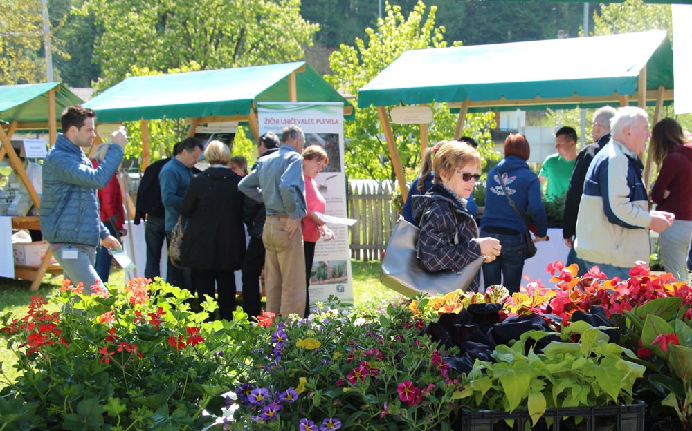 8-Zeleni-festival-Rogatec-lifestyle-modnialmanah