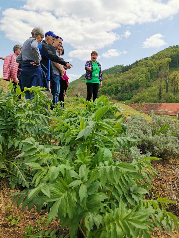 8-Zeleni-festival-Rogatec-lifestyle-modnialmanah