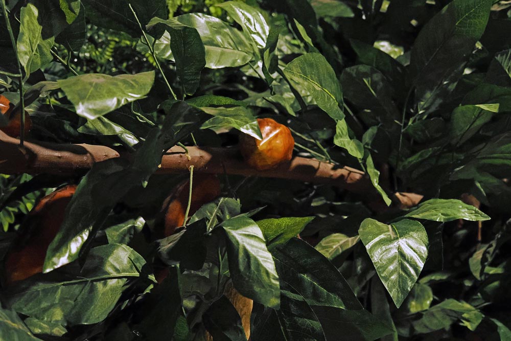 Chocolarium-muzej-čokolade-ljubljana-modnialmanah-lifestyle-gastro