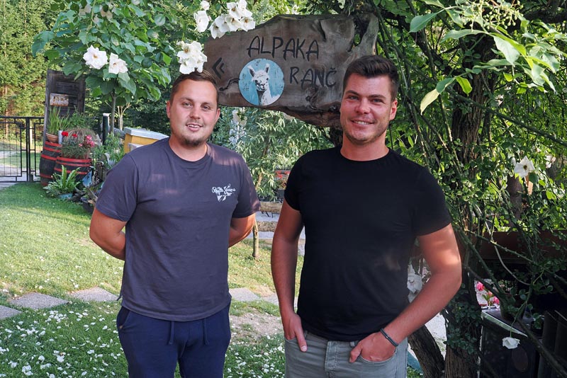 alpaka-ranč-modnialmanah-lifestyle-slovenska-štajerska