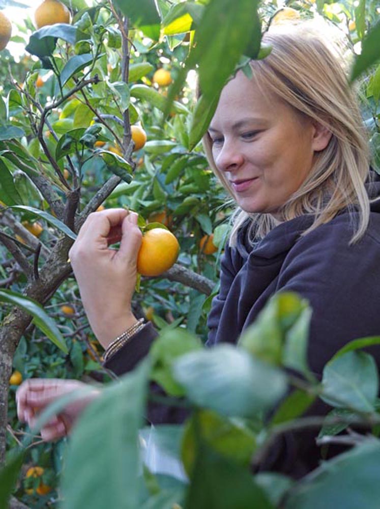 modnialmanah-alma-premerl-zoko