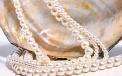 fashion-biseri-biserna-ogrlica-modnialmanah1