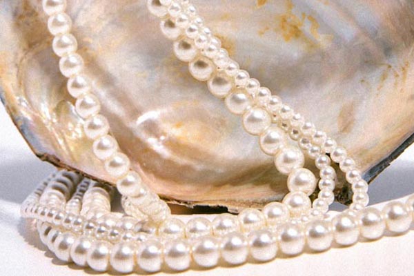 fashion-biseri-biserna-ogrlica-modnialmanah1