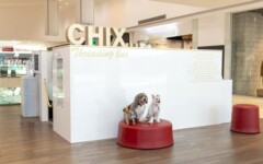 pet-friendly-CHIX-threading-bar-lifestyle-modnialmanah