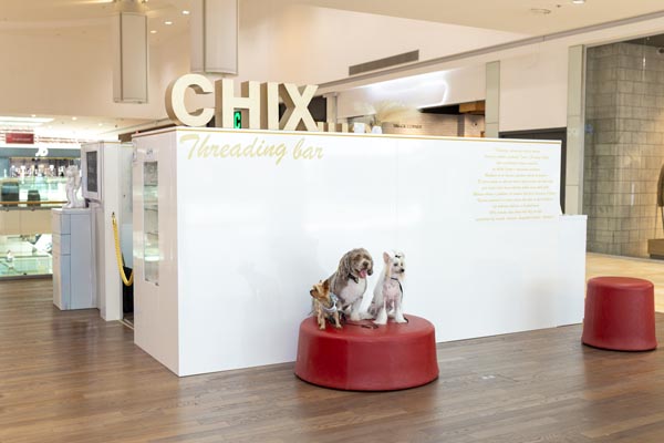 pet-friendly-CHIX-threading-bar-lifestyle-modnialmanah