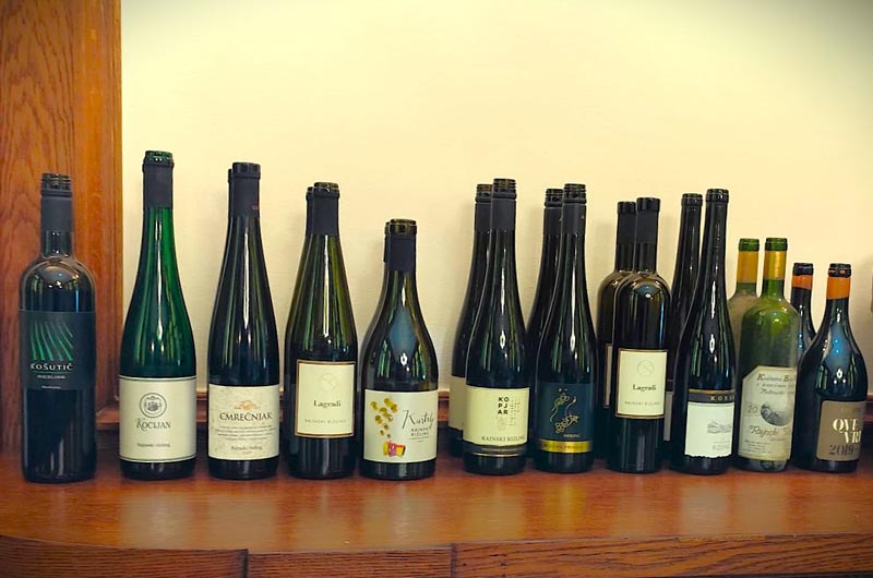 rajnski-rizling-modnialmanah-enogastro-wine-vino