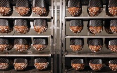 Boogie-bakery-Panettone-modnialmanah