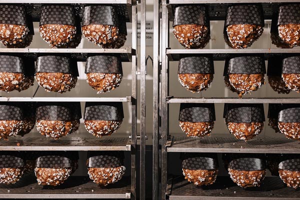 Boogie-bakery-Panettone-modnialmanah