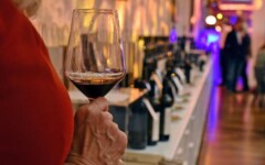 Vislander-Vertikala-plavac-mali-Bon-Appetit-gastronomija-modnialmanah