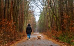 pas-šetnja-zdraavlje-blagodati-modnialmanah