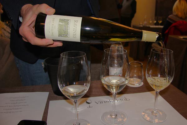 rajnski-rizling-modnialmanah-enogastro-wine-vino