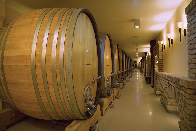 vinarija-aleksandrović-vrijeme-je-za-wine-eno-gastro-modnialmanah-1