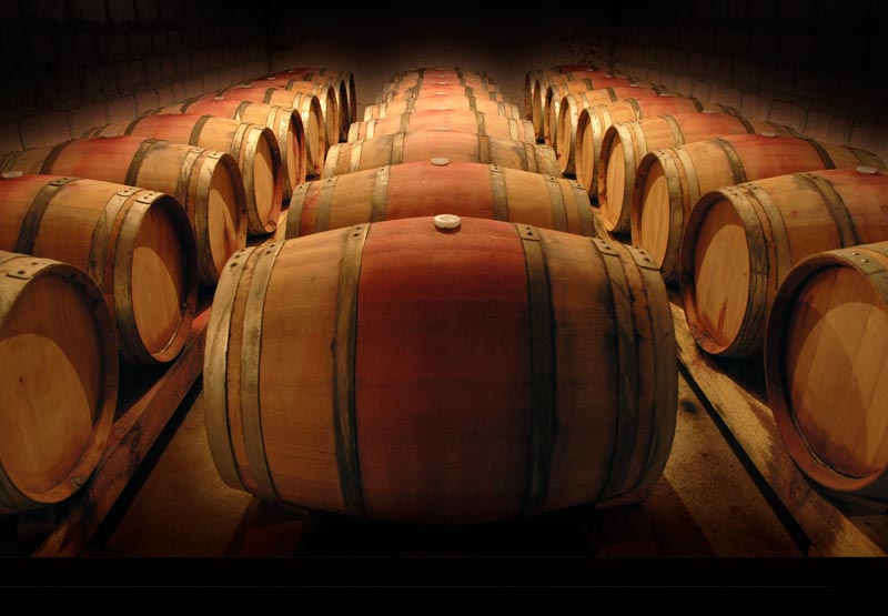vinarija-aleksandrović-vrijeme-je-za-wine-eno-gastro-modnialmanah-1