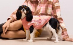 fashion-matching-look-mohito-modnialmanah-ljubimac