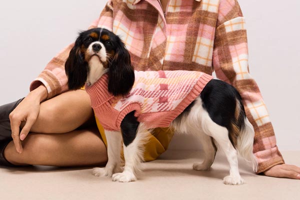 fashion-matching-look-mohito-modnialmanah-ljubimac