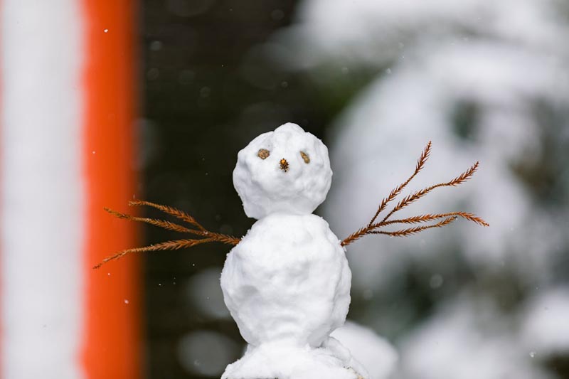 savjet-snjegović-modnialmanah
