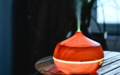 zdravlje-difuzor-modnialmanah