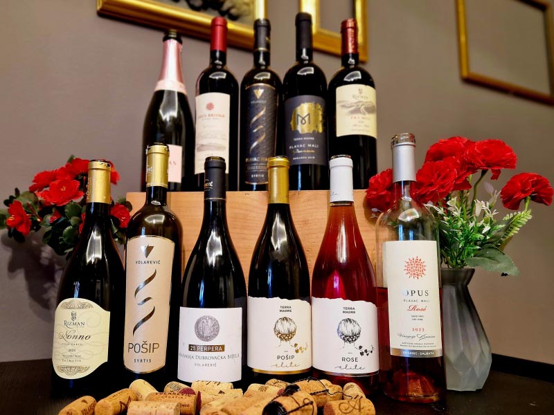 jug-hrvatske-u-čaši-diwine-irena-lučić-modnialmanah-wine-vino-radionica-enogastro