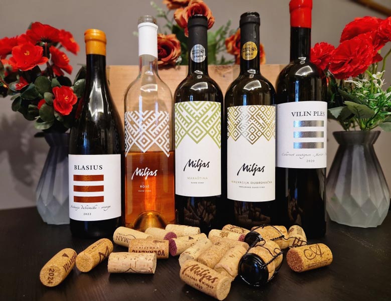 jug-hrvatske-u-čaši-diwine-irena-lučić-modnialmanah-wine-vino-radionica-enogastro