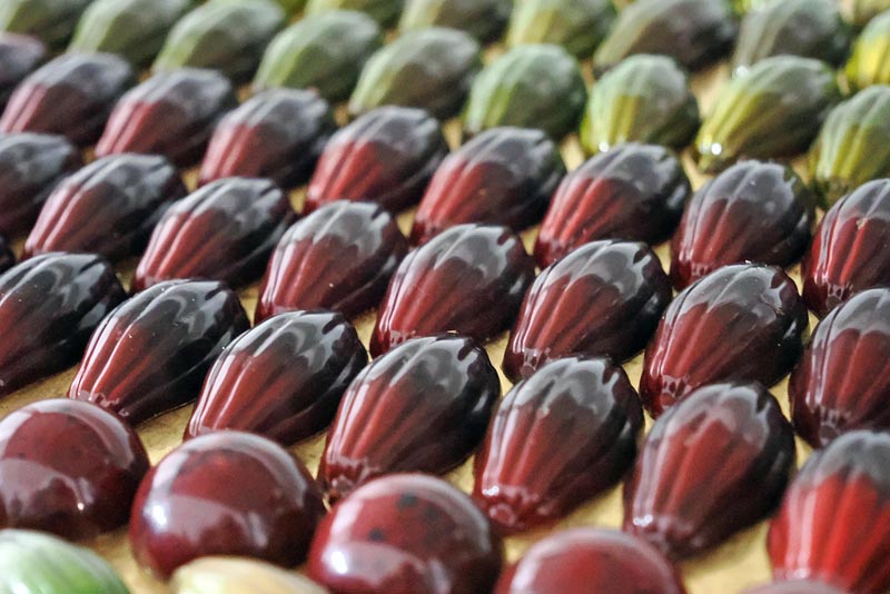 xococ-čokoladnica-ptuj-praline-gastro-modnialmanah