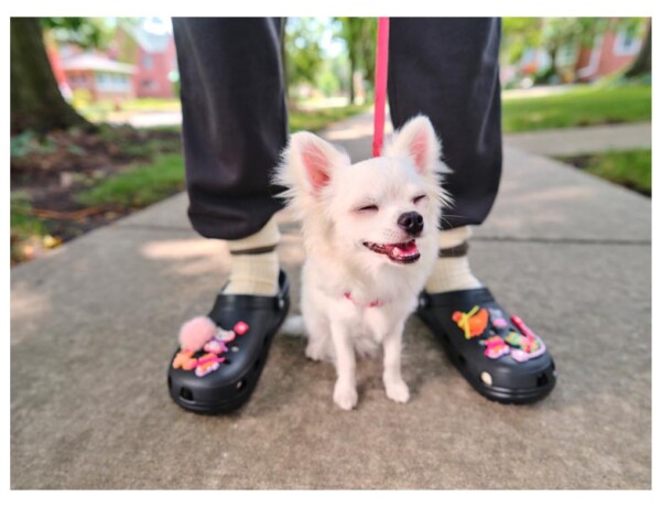 crocs-jibbitz-fashion-modnialmanah