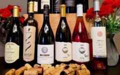 jug-hrvatske-u-čaši-diwine-irena-lučić-modnialmanah-wine-vino-radionica-enogastro