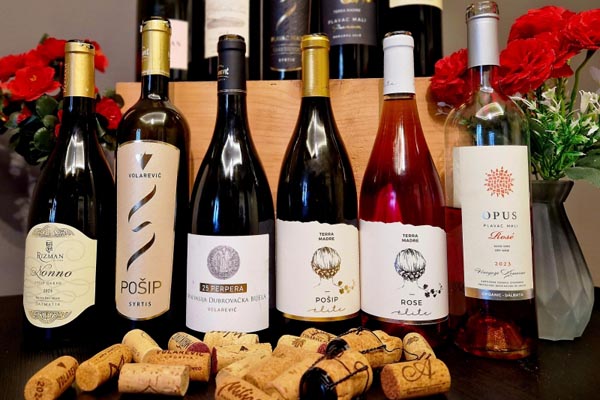 jug-hrvatske-u-čaši-diwine-irena-lučić-modnialmanah-wine-vino-radionica-enogastro