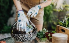 savjet-biljke-staklenka-vaza-zelena-oaza-modnialmanah