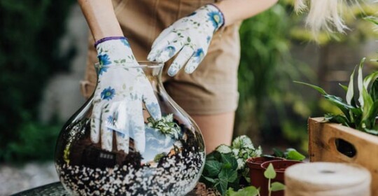 savjet-biljke-staklenka-vaza-zelena-oaza-modnialmanah