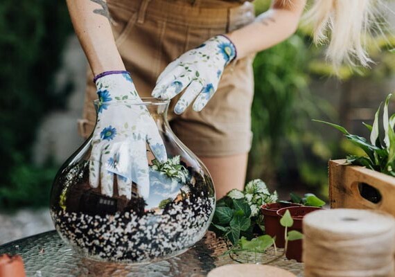 savjet-biljke-staklenka-vaza-zelena-oaza-modnialmanah