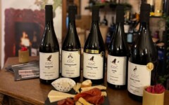 vinarija-josić-žminj-enogastro-modnialmanah