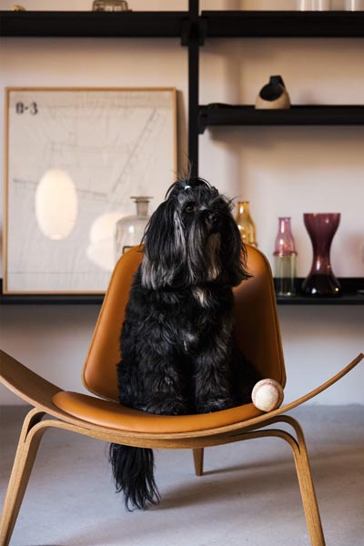 Dogs’Café-Zagreb-lifestyle-modnialmanah