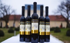 Iločki-podrumi-traminac-mundus-vini-gastronomija-modnialmanah