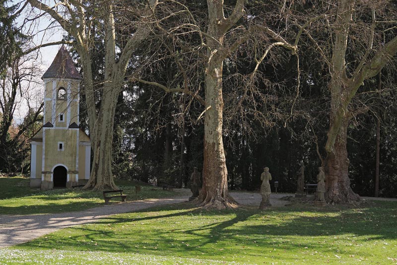 mokrice-gastronomija-golf-restoran-1444-modnialmanah-terme-čatež