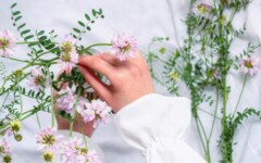 savjet-poljsko-cvijeće-ukras-modnialmanah