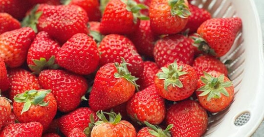 zdravlje-jagode-modnialmanah